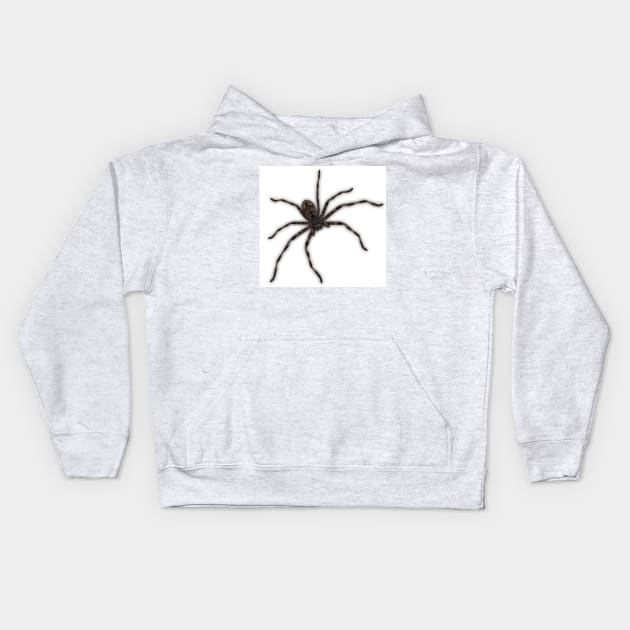 Huntsman Spider (Delena cancerides) Kids Hoodie by Red Wolf